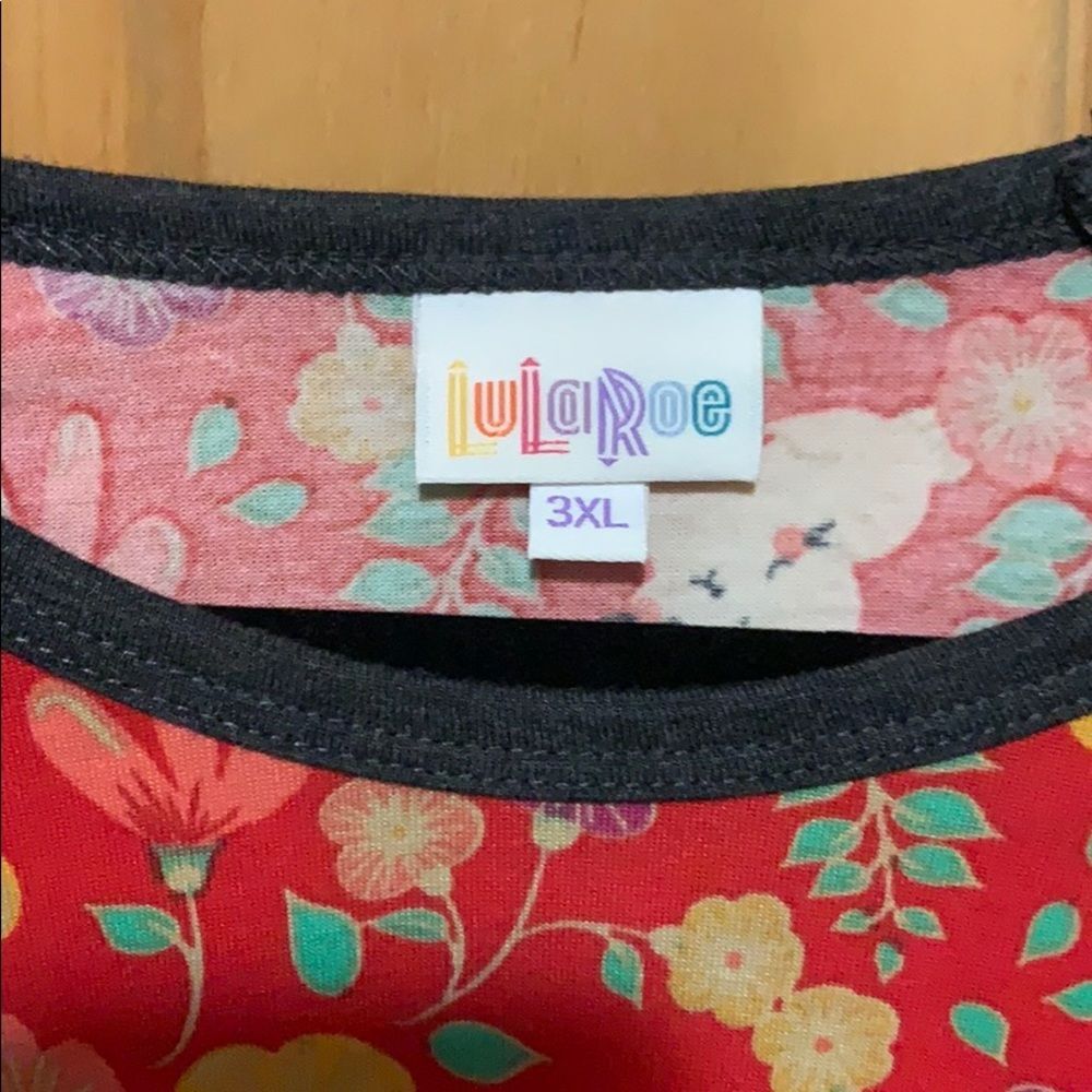 LuLaroe Raglan - Picture 2 of 2